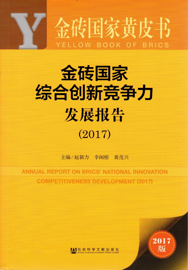 黑丝白虎自愈白浆金砖国家综合创新竞争力发展报告（2017）